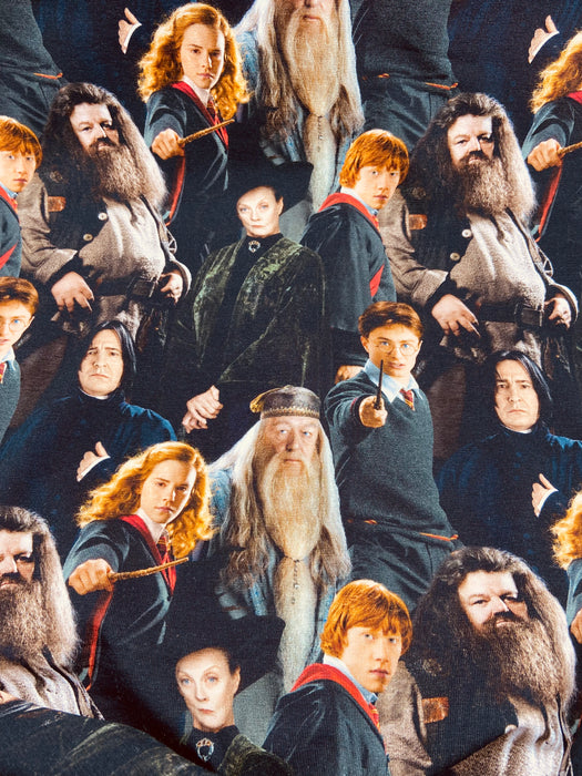 0,5 m Baumwoll-Jersey „Harry Potter“